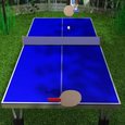 Ping Pong1 Game
